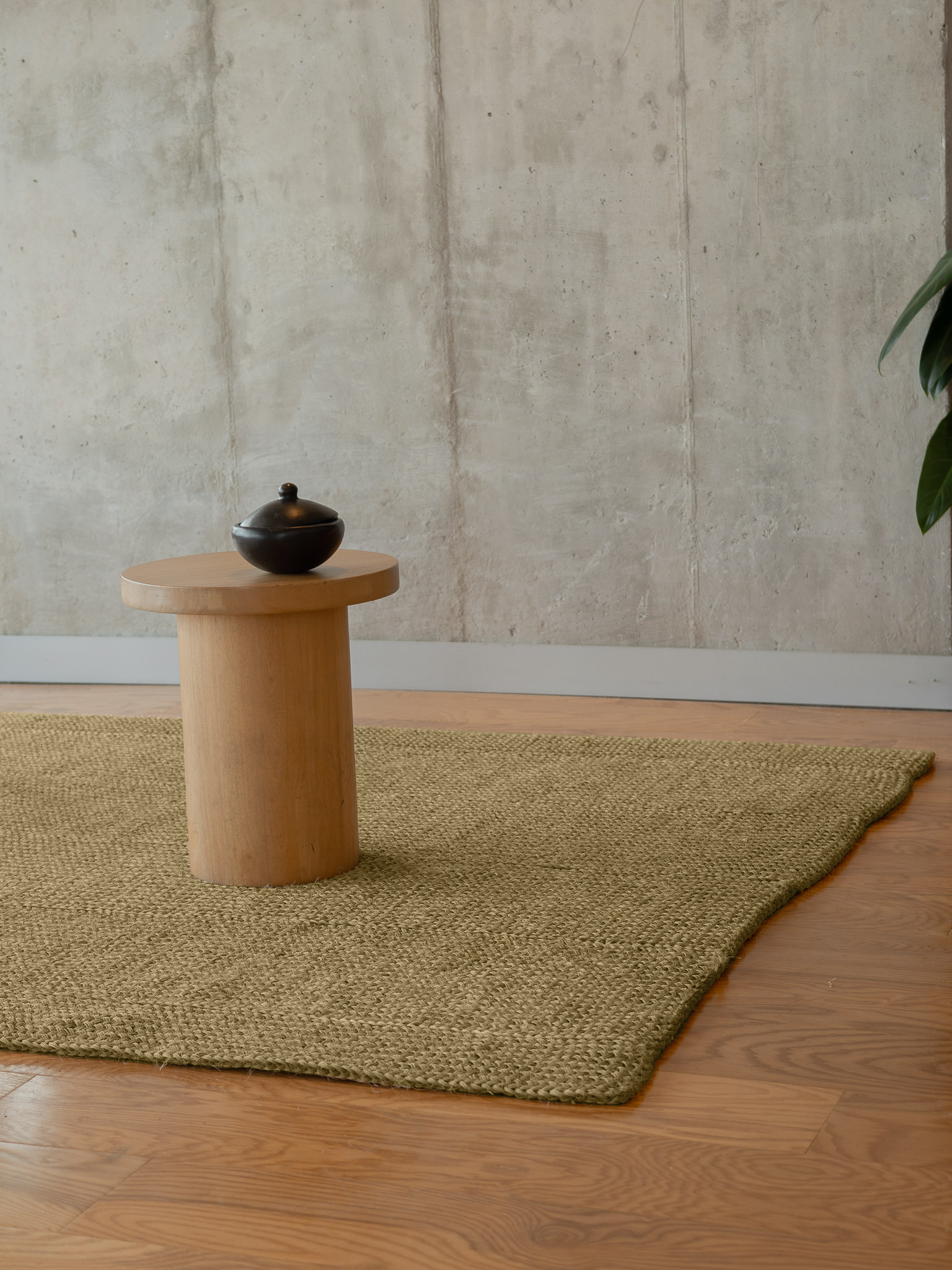 Alfombra Neutral Verde Seco