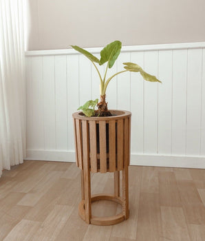 Jardinera Octavia