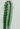 CACTUS SILVESTRE - ART - BuonaseraHouse 