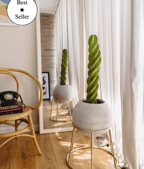 Jardinera Maxi Rocky Dorada