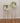 Set Jardineras x2 Rocky Dorada