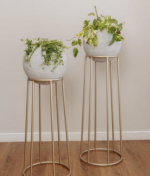 Set Jardineras x2 Rocky Dorada