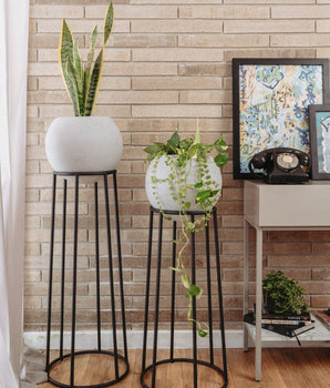 Set Jardineras x2 Rocky Negra