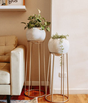 Set Jardineras x2 Rocky Dorada