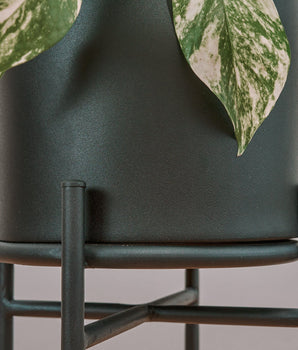 Set de jardineras x3 Bambi Negra