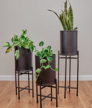 Set de jardineras x3 Bambi Negra
