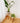 Set Jardineras x2 Donald