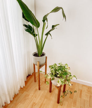 Set Jardineras x2 Donald