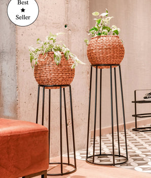 Set de Jardinera x2 Rocky Tejida Negra